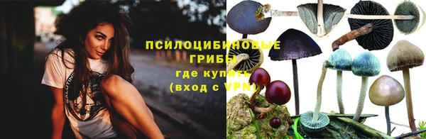 молекула духа Беломорск