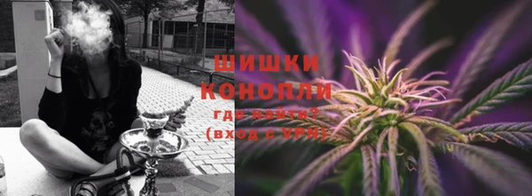 сатива Сосновоборск