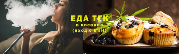 PSILOCYBIN Белокуриха