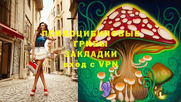 PSILOCYBIN Сосновый Бор