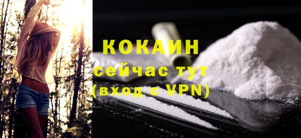 сатива Сосновоборск