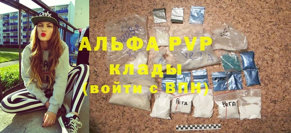 сатива Сосновоборск