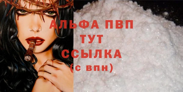 PSILOCYBIN Сосновый Бор