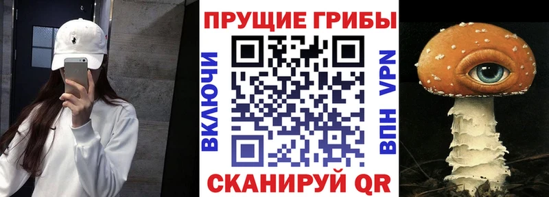 Галлюциногенные грибы ЛСД  Кинешма 